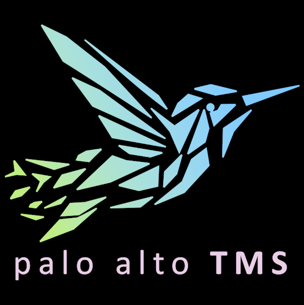 Palo Alto TMS Logo